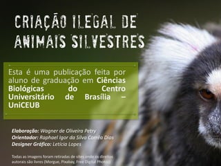 CRIAÇaOILEGAL DE ANIMAIS SILVESTRES 
Elaboração: Wagner de Oliveira Petry 
Orientador: RaphaelIgor da Silva Corrêa Dias 
Designer Gráfico: Letícia Lopes 
Todas as imagens foram retiradas de sites onde os direitos autorais são livres (Morgue, Pixabay, FreeDigital Photos) 
EstaéumapublicaçãofeitaporalunodegraduaçãoemCiênciasBiológicasdoCentroUniversitáriodeBrasília– UniCEUB  