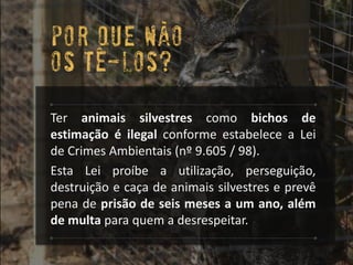 TeranimaissilvestrescomobichosdeestimaçãoéilegalconformeestabeleceaLeideCrimesAmbientais(nº9.605/98). 
EstaLeiproíbeautilização,perseguição, destruiçãoecaçadeanimaissilvestreseprevêpenadeprisãodeseismesesaumano,alémdemultaparaquemadesrespeitar. 
Por que nAOos tE-los?  