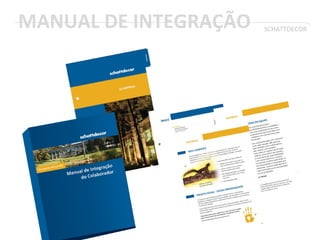 MANUAL DE INTEGRAÇÃO SCHATTDECOR
 