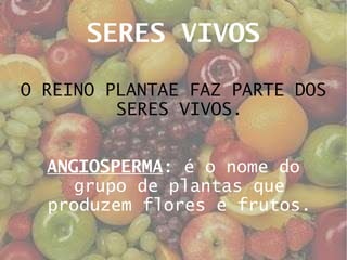 SERES VIVOS O REINO PLANTAE FAZ PARTE DOS SERES VIVOS. ANGIOSPERMA : é o nome do grupo de plantas que produzem flores e frutos. 