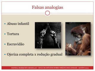 Falsas analogias


 Abuso infantil


 Tortura


 Escravidão


 Ojeriza completa x redução gradual



    DANIELA MARQUES CARAMALAC - CICLO DE ESTUDOS SOBRE DIREITO DOS ANIMAIS - AGOSTO 2012
 