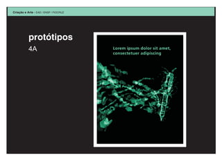 Apresentacao Gestores 30 07 08