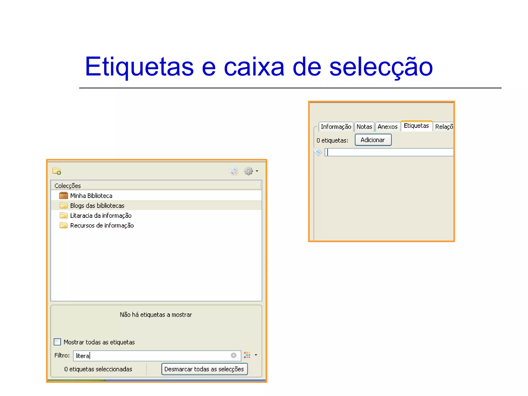 Etiquetas e caixa de selecção

 