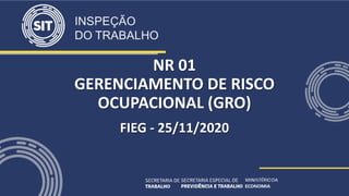 NR 01
GERENCIAMENTO DE RISCO
OCUPACIONAL (GRO)
FIEG - 25/11/2020
 