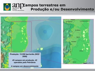 Campos terrestres em  Produção e/ou Desenvolvimento Produção: 13.550 barris/dia (DEZ/2008) 45 campos em produção, 42 operados pela Petrobras 4 campos em desenvolvimento 