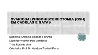 Disciplina: Anatomia aplicada à cirurgia I
Laurenzo Vicentini Pais Mendonça
Thais Rosa da silva
Orientador: Prof. Dr. Henrique Trevizoli Ferraz
 