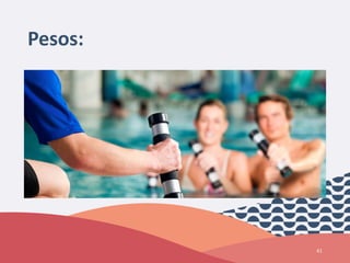 Pesos:
41
 