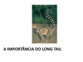 A IMPORTÂNCIA DO LONG TAIL
 