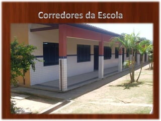 Apresentacao homero eua