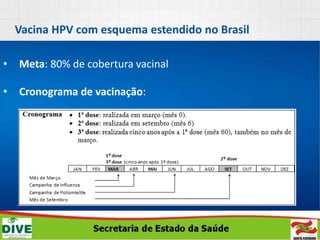 • Meta: 80% de cobertura vacinal
• Cronograma de vacinação:
Vacina HPV com esquema estendido no Brasil
 