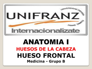 ANATOMIA I HUESOS DE LA CABEZA HUESO FRONTAL Medicina - Grupo B  