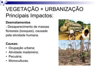 VEGETAÇÃO + URBANIZAÇÃO
Principais Impactos:
Desmatamentos
- Desaparecimento de massas
florestais (bosques), causada
pela atividade humana.
Causas:
• Ocupação urbana;
• Atividade madeireira;
• Pecuária;
• Monoculturas.
 