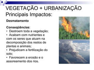 VEGETAÇÃO + URBANIZAÇÃO
Principais Impactos:
Desmatamento
Conseqüências:
• Destroem toda a vegetação;
• Acabam com nutrientes e
com os seres que atuam na
decomposição dos restos de
plantas e animais;
• Prejudicam a fertilização do
solo;
• Favorecem a erosão e o
assoreamento dos rios.
 