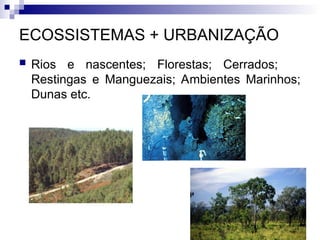 ECOSSISTEMAS + URBANIZAÇÃO
 Rios e nascentes; Florestas; Cerrados;
Restingas e Manguezais; Ambientes Marinhos;
Dunas etc.
 