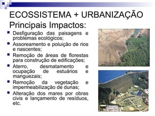 ECOSSISTEMA + URBANIZAÇÃO
Principais Impactos:
 Desfiguração das paisagens e
problemas ecológicos;
 Assoreamento e poluição de rios
e nascentes;
 Remoção de áreas de florestas
para construção de edificações;
 Aterro, desmatamento e
ocupação de estuários e
manguezais;
 Remoção da vegetação e
impermeabilização de dunas;
 Alteração dos mares por obras
civis e lançamento de resíduos,
etc.
 