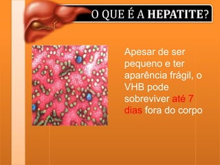O QUE É A HEPATITE?
Apesar de ser
pequeno e ter
aparência frágil, o
VHB pode
sobreviver até 7
dias fora do corpo

 