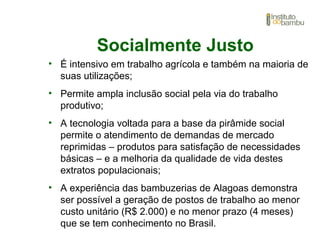 Socialmente Justo
• É intensivo em trabalho agrícola e também na maioria de
suas utilizações;
• Permite ampla inclusão social pela via do trabalho
produtivo;
• A tecnologia voltada para a base da pirâmide social
permite o atendimento de demandas de mercado
reprimidas – produtos para satisfação de necessidades
básicas – e a melhoria da qualidade de vida destes
extratos populacionais;
• A experiência das bambuzerias de Alagoas demonstra
ser possível a geração de postos de trabalho ao menor
custo unitário (R$ 2.000) e no menor prazo (4 meses)
que se tem conhecimento no Brasil.
 