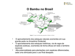 O Bambu no Brasil
• O aproveitamento dos estoques naturais ocorrentes em sua
grande parte na Amazônia Ocidental;
• O aproveitamento dos estoques históricos, via de regra de
espécies exóticas, ocorrentes de forma difusa em todo o território
nacional;
• Alta potencialidade para plantações com espécies diferenciadas,
cada uma otimizada para o uso final desejado.
 