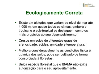 Ecologicamente Correta
• Existe em altitudes que variam do nível do mar até
4.000 m, em quase todos os climas, embora o
tropical e o sub-tropical se destaquem como os
mais propícios ao seu desenvolvimento;
• Cresce em solos de diferentes graus de
arenosidade, acidez, umidade e temperatura;
• Melhora consideravelmente as condições física e
química dos solos; pode ser cultivado de forma
consorciada à florestas;
• Única espécie florestal que o IBAMA não exige
autorização para o seu aproveitamento.
 