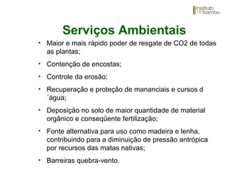 Serviços Ambientais
• Maior e mais rápido poder de resgate de CO2 de todas
as plantas;
• Contenção de encostas;
• Controle da erosão;
• Recuperação e proteção de mananciais e cursos d
´água;
• Deposição no solo de maior quantidade de material
orgânico e conseqüente fertilização;
• Fonte alternativa para uso como madeira e lenha,
contribuindo para a diminuição de pressão antrópica
por recursos das matas nativas;
• Barreiras quebra-vento.
 