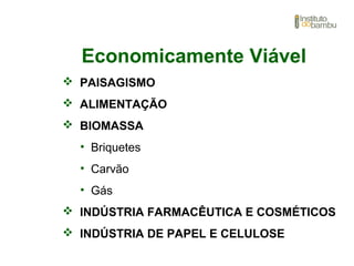 Economicamente Viável
 PAISAGISMO
 ALIMENTAÇÃO
 BIOMASSA
• Briquetes
• Carvão
• Gás
 INDÚSTRIA FARMACÊUTICA E COSMÉTICOS
 INDÚSTRIA DE PAPEL E CELULOSE
 