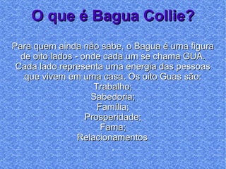 O que é Bagua Collie? Para quem ainda não sabe, o Bagua é uma figura de oito lados - onde cada um se chama GUA. Cada lado representa uma energia das pessoas que vivem em uma casa. Os oito Guas são: Trabalho; Sabedoria; Família; Prosperidade; Fama; Relacionamentos ; . 