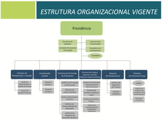 ESTRUTURA ORGANIZACIONAL VIGENTE

 