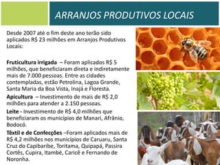 ARRANJOS PRODUTIVOS LOCAIS
Desde 2007 até o fim deste ano terão sido
aplicados R$ 23 milhões em Arranjos Produtivos
Locais:
Fruticultura irrigada – Foram aplicados R$ 5
milhões, que beneficiaram direta e indiretamente
mais de 7.000 pessoas. Entre as cidades
contempladas, estão Petrolina, Lagoa Grande,
Santa Maria da Boa Vista, Inajá e Floresta.
Apicultura – Investimento de mais de R$ 2,0
milhões para atender a 2.150 pessoas.
Leite - Investimento de R$ 4,0 milhões que
beneficiaram os municípios de Manari, Afrânio,
Bodocó.
Têxtil e de Confecções –Foram aplicados mais de
R$ 4,2 milhões nos municípios de Caruaru, Santa
Cruz do Capibaribe, Toritama, Quipapá, Passira
Cortês, Cupira, Itambé, Caricê e Fernando de
Noronha.

 