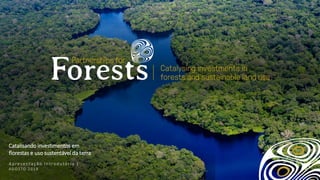 Apresentação Introdutória |
A G O S TO 2 0 1 8
©CIFOR
Catalisando investimentos em
florestas e uso sustentável da terra
 