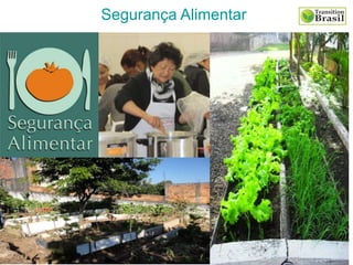 Segurança Alimentar
 