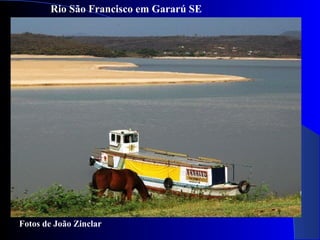 Rio São Francisco em Gararú SE
Fotos de João Zinclar
 