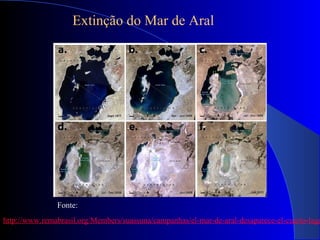 http://www.remabrasil.org/Members/suassuna/campanhas/el-mar-de-aral-desaparece-el-cuarto-lago
Fonte:
Extinção do Mar de Aral
 