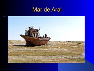 Mar de AralMar de Aral
 