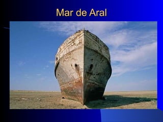 Mar de AralMar de Aral
 