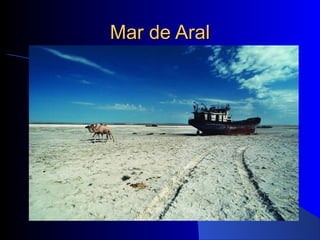 Mar de AralMar de Aral
 