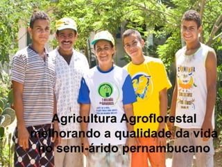Agricultura Agroflorestal
melhorando a qualidade da vida
 no semi-árido pernambucano
 