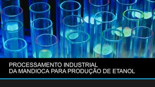 PROCESSAMENTO INDUSTRIAL
DA MANDIOCA PARA PRODUÇÃO DE ETANOL
 