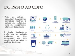 Ordenha
Tanque
de refrigeração
Camião
cisterna isotérmico
Termização e Standartização
Leite (gordo, meio-gordo, magro)
Armazenamento
em silos
Processamento
térmico UHT
Lotes aprovados
pelo controlo
da qualidade
Armazém
Enchimento/
embalamento
Testes laboratoriais
Mercado
Animal saudável
e higienizado
DO PASTO AO COPO
• Todas as coletas
necessitam de cumprir as
normativas relativas à
higiene das instalações
como dos equipamentos
e também dos animais.
• O órgão fiscalizadores
impõe que os animais
produtores de leite
apresentem um bom
estado geral de saúde e
ausência de doença.
 
