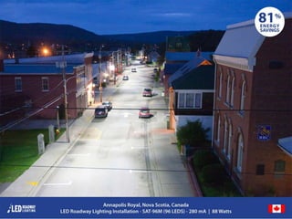 © LED Roadway Lighting Ltd. - 2010
 