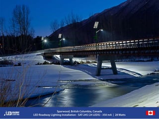 © LED Roadway Lighting Ltd. - 2010
 