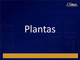Plantas
 