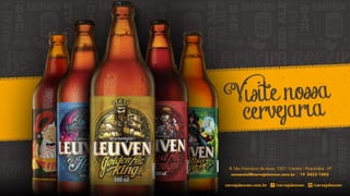 Apresentacao Crowdfunding Leuven