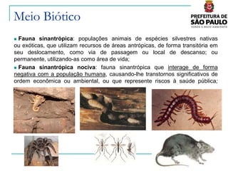 Meio Biótico
 Fauna sinantrópica: populações animais de espécies silvestres nativas
ou exóticas, que utilizam recursos de áreas antrópicas, de forma transitória em
seu deslocamento, como via de passagem ou local de descanso; ou
permanente, utilizando-as como área de vida;
 Fauna sinantrópica nociva: fauna sinantrópica que interage de forma
negativa com a população humana, causando-lhe transtornos significativos de
ordem econômica ou ambiental, ou que represente riscos à saúde pública;
 
