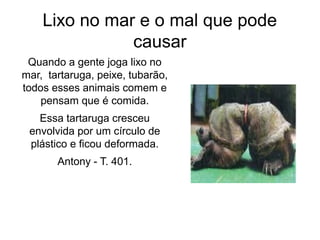 Lixo no mar e o mal que pode 
causar 
Quando a gente joga lixo no 
mar, tartaruga, peixe, tubarão, 
todos esses animais comem e 
pensam que é comida. 
Essa tartaruga cresceu 
envolvida por um círculo de 
plástico e ficou deformada. 
Antony - T. 401. 
 
