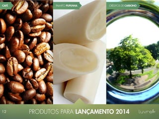 Apresentação Luvre