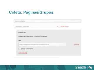 Coleta: Páginas/Grupos
 
