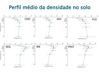 Perfil médio da densidade no solo
ASVCDO FLO
IRRSEQ PAST
 