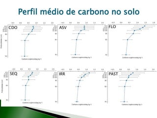 Perfil médio de carbono no solo
CDO ASV FLO
SEQ IRR PAST
 