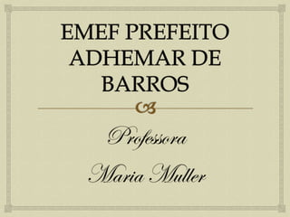 Professora
Maria Muller
 