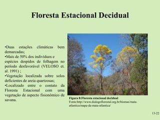 Floresta Estacional Decidual


•Duas estações climáticas bem
demarcadas;
•Mais de 50% dos indivíduos e
espécies despidos de folhagem no
período desfavorável (VELOSO et.
al. 1991) ;
•Vegetação localizada sobre solos
deficientes de areia quartzosas;
•Localizado entre o contato da
Floresta Estacional com uma
vegetação de aspecto fisionômico de
                                      Figura 8:Floresta estacional decidual
savana.                               Fonte:http://www.dialogoflorestal.org.br/biomas/mata-
                                      atlantica/mapa-da-mata-atlantica/

                                                                                              13-22
 